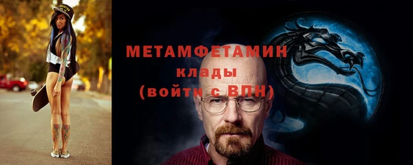 мдпв Гусев