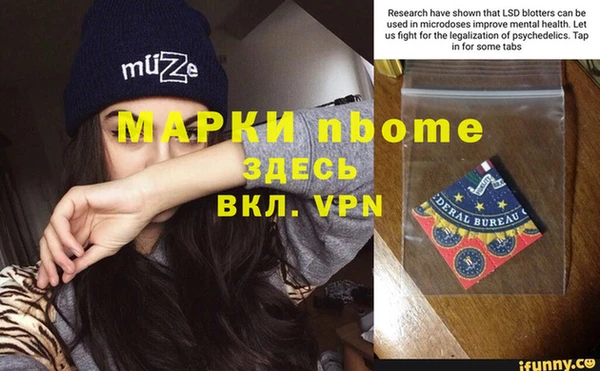 мдпв Гусев