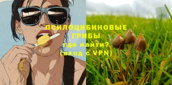 дмт Алексеевка
